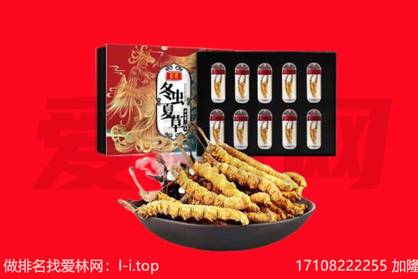 包头昆都仑区回收虫草.jpg